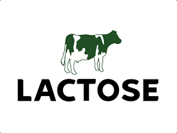 lactose là gì