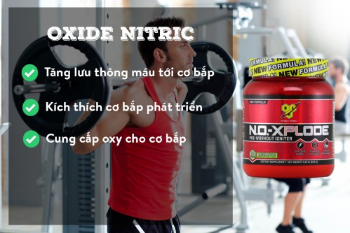 Oxide Nitric tăng lưu thông máu 
