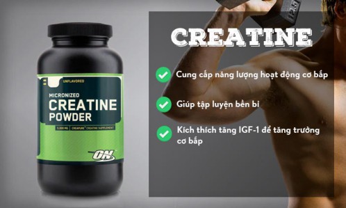 creatine la gi